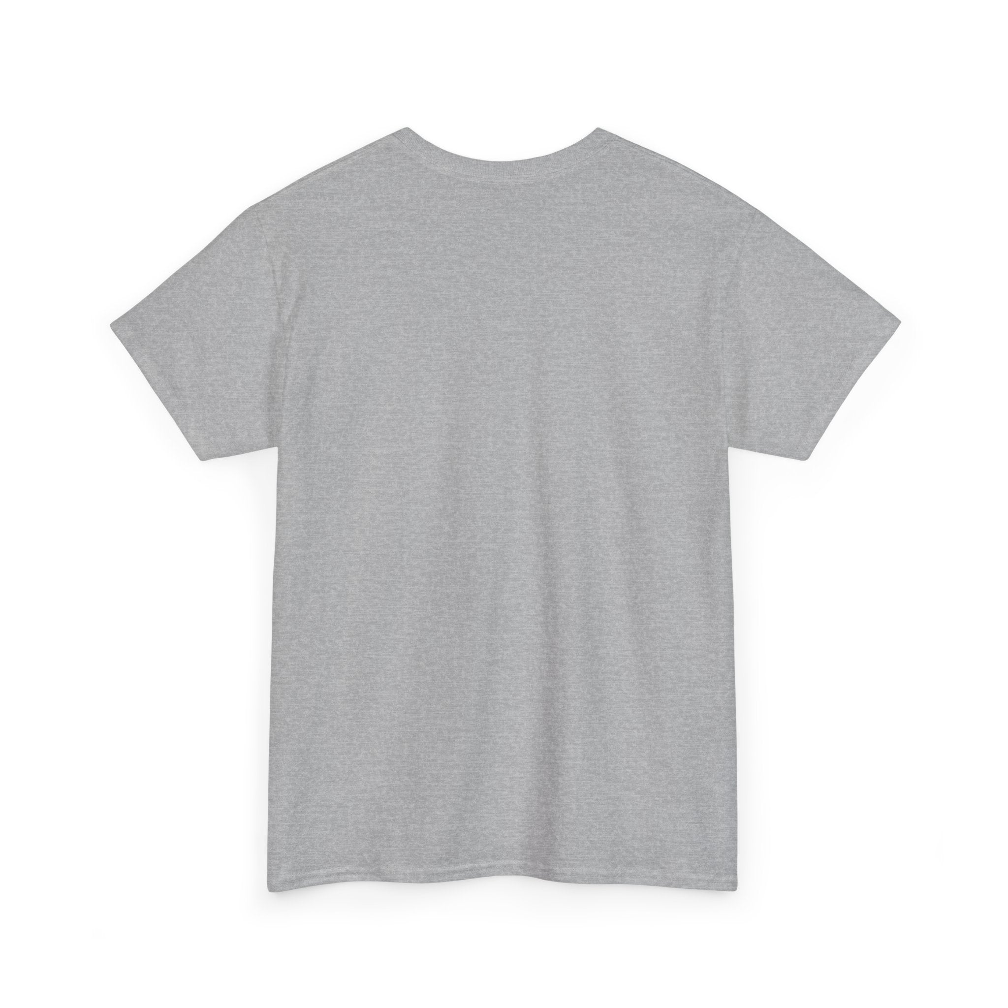 Pulse Fitne55 graphic heavy Cotton Tee - astronaut basketball