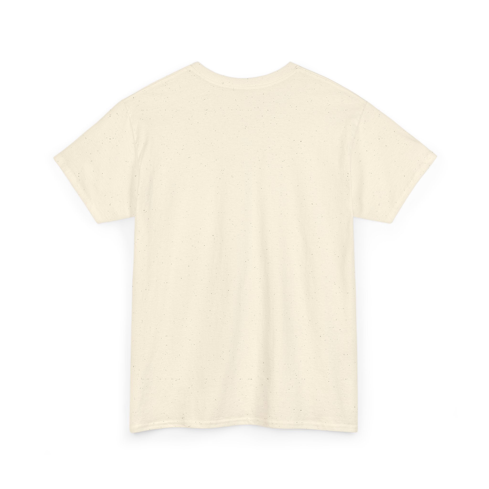 Copy of Pulse Fitne55 graphic heavy Cotton Tee - astronaut weights