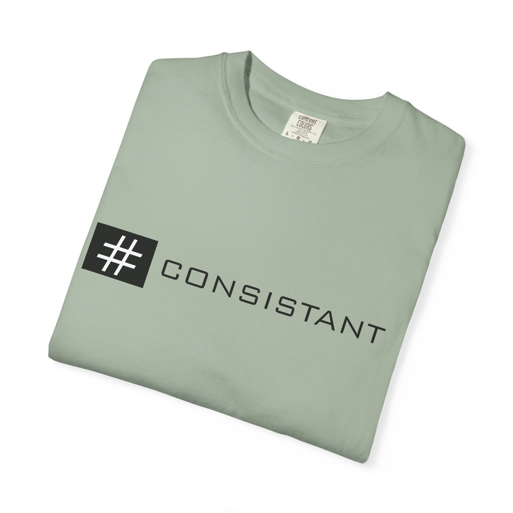 Pulse Fitne55 - #Consistant Graphic T-Shirt — Minimal Motivational Tee for Consistency & Hustle