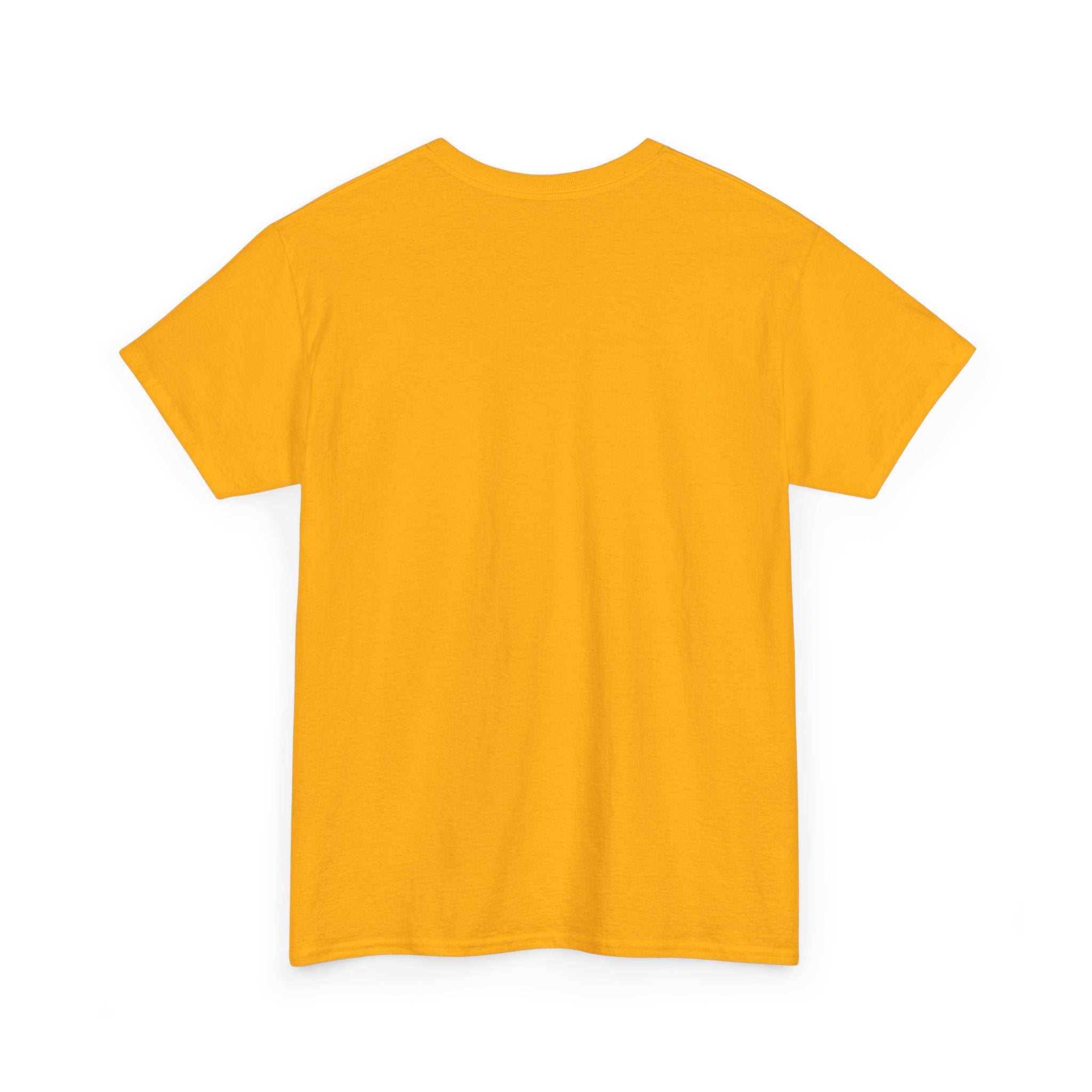 Pulse Fitne55 graphic Cotton Tee