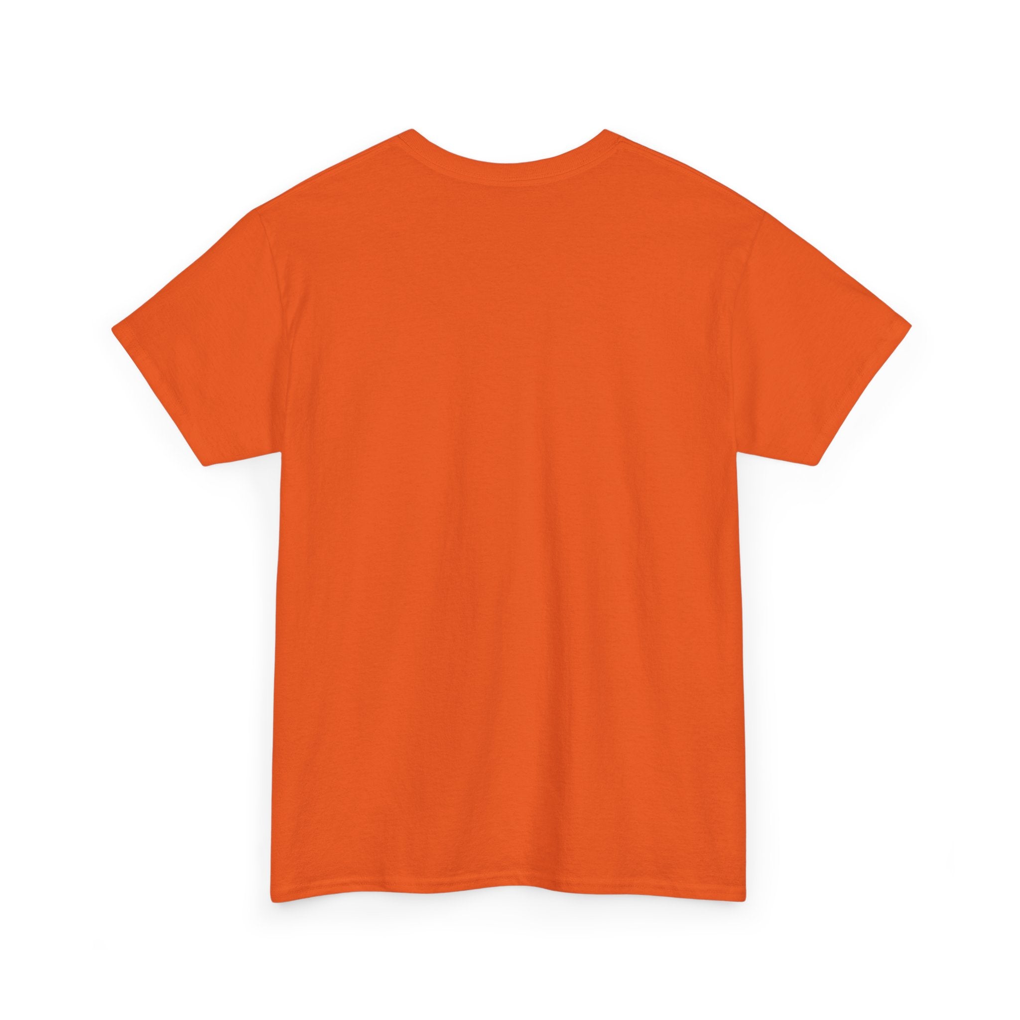Pulse Fitne55 logo Heavy Cotton Tee