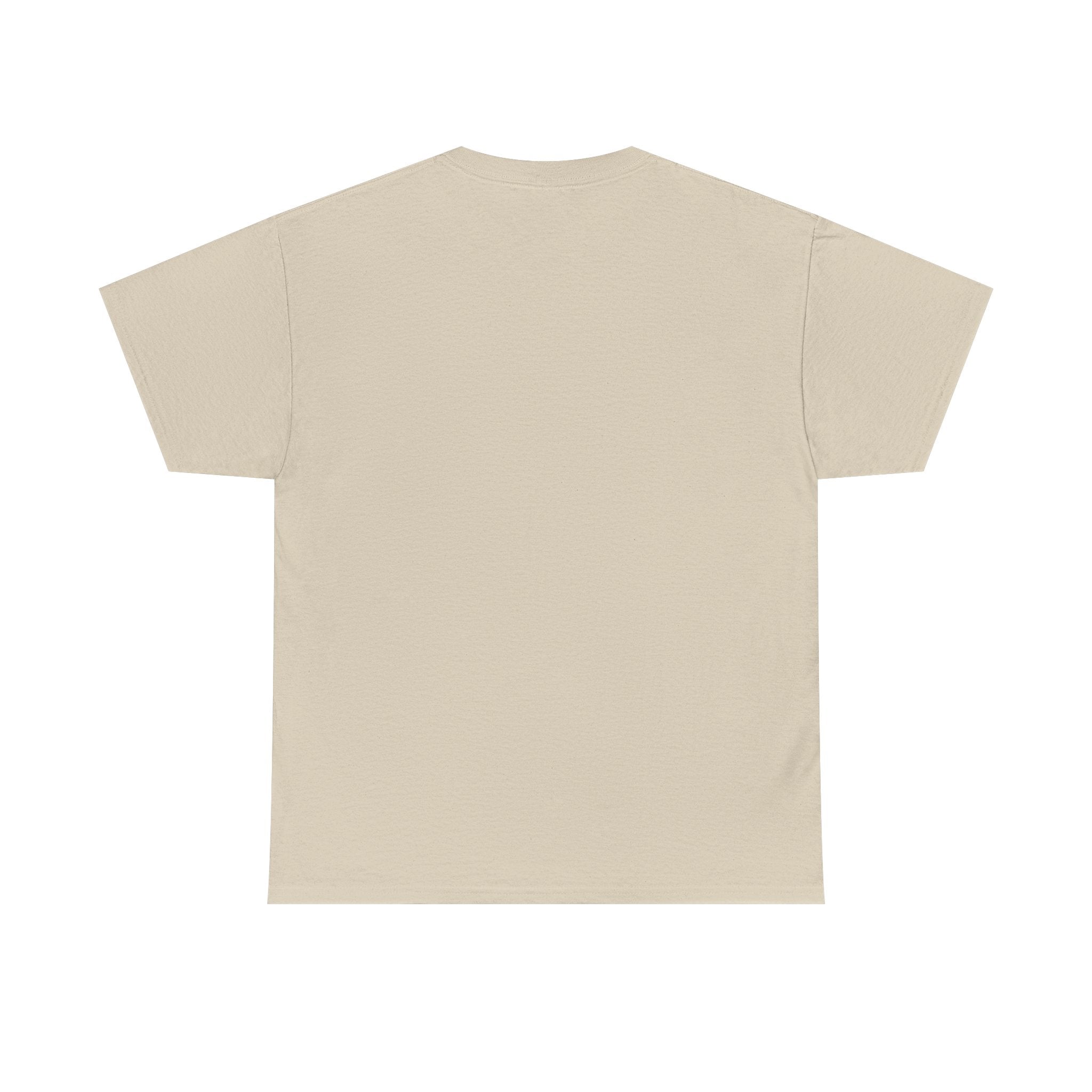 Pulse Fitne55 graphic heavy Cotton Tee - astronaut bros