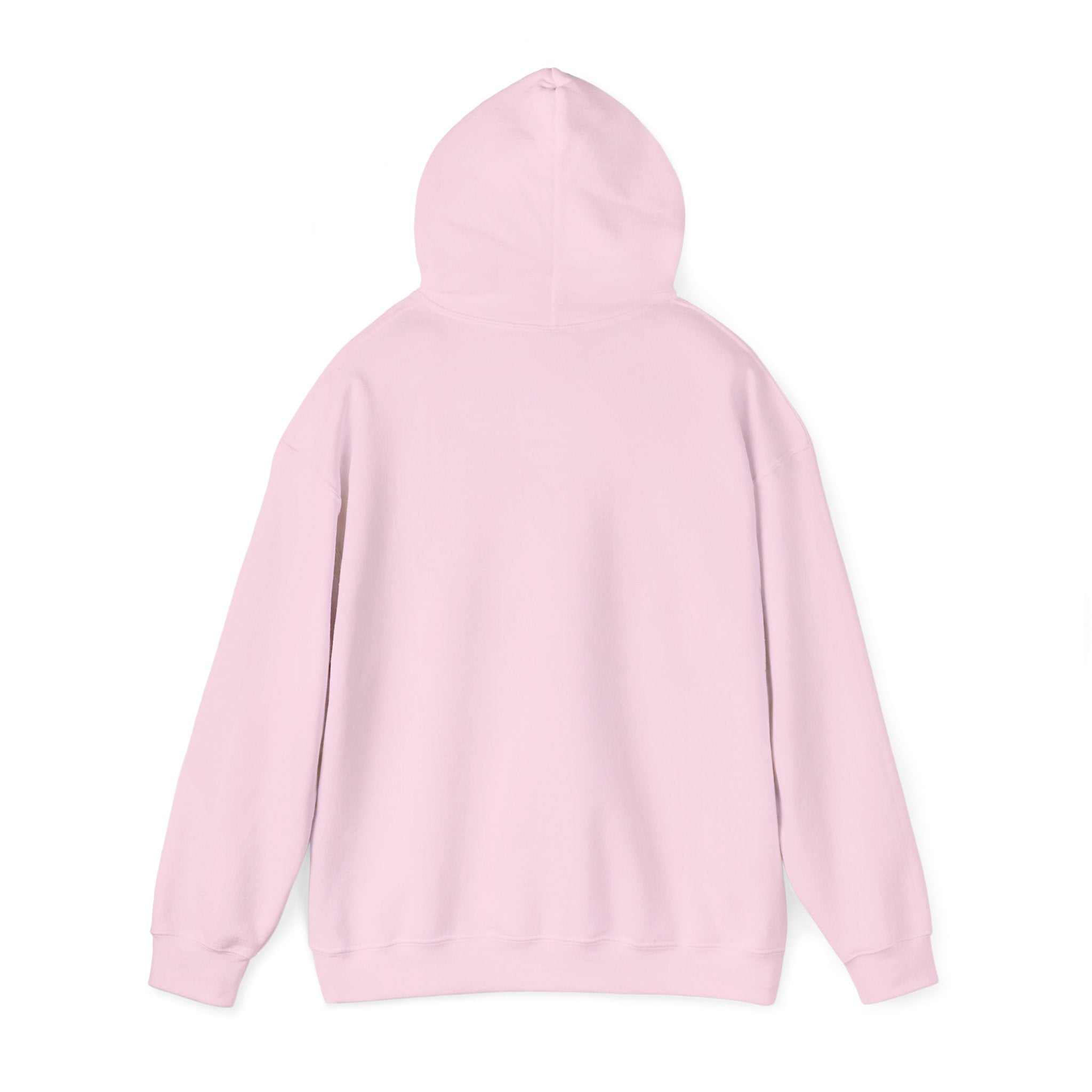 Pulse Fitne55 Gym Bros Heavy Blend™ Hooded Sweatshirt