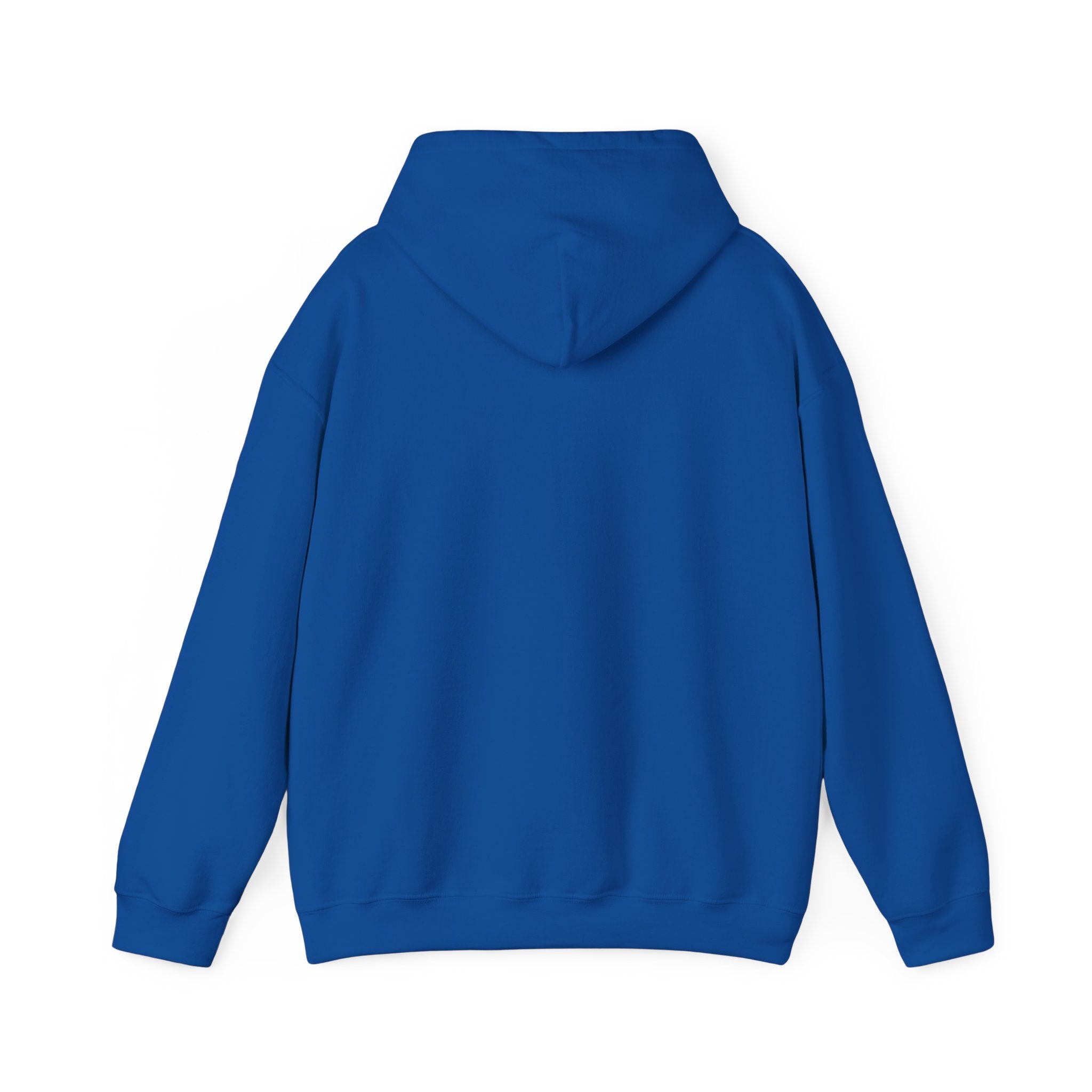 Pulse Fitne55 - Heavy Blend™ Hooded Sweatshirt