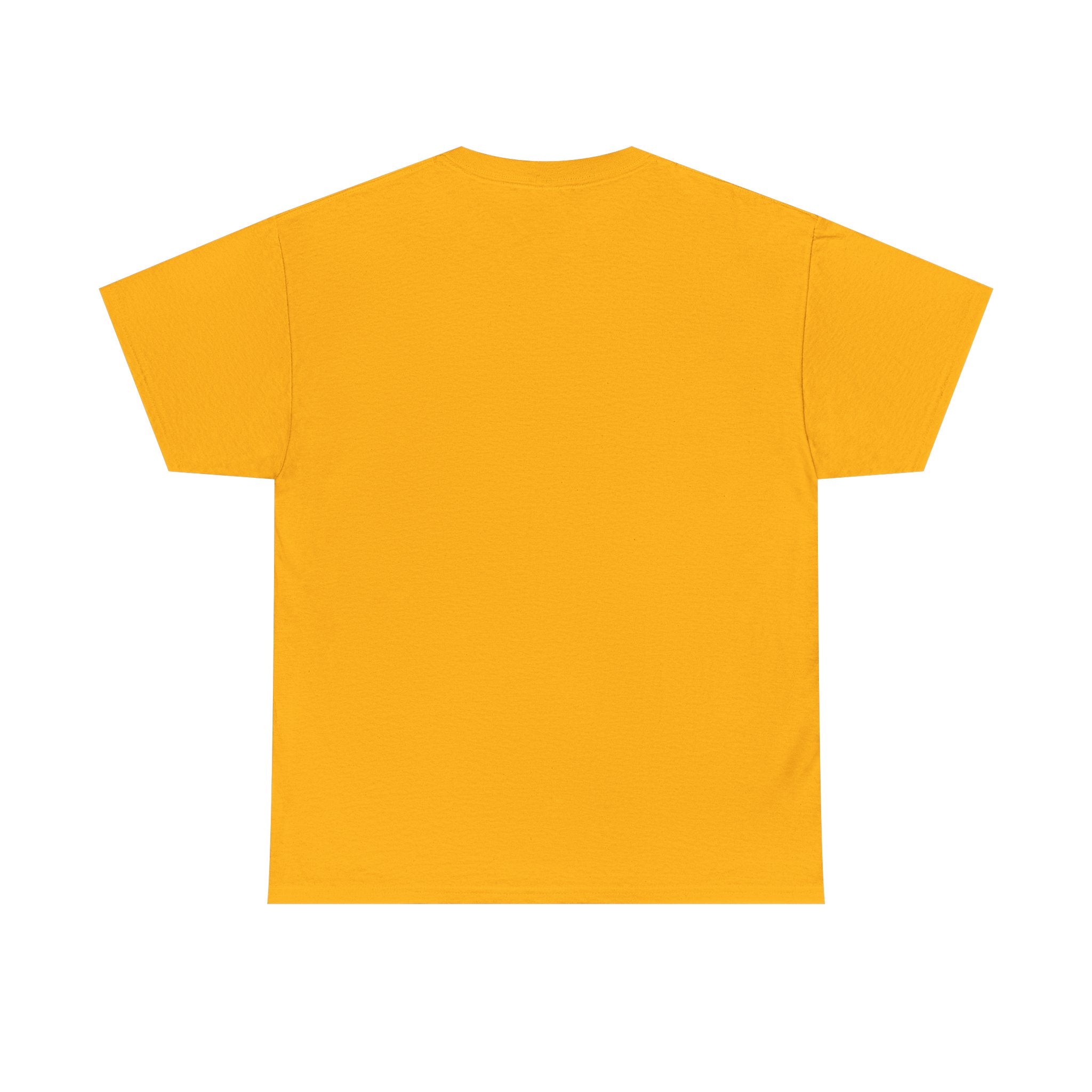 Pulse Fitne55 graphic heavy Cotton Tee