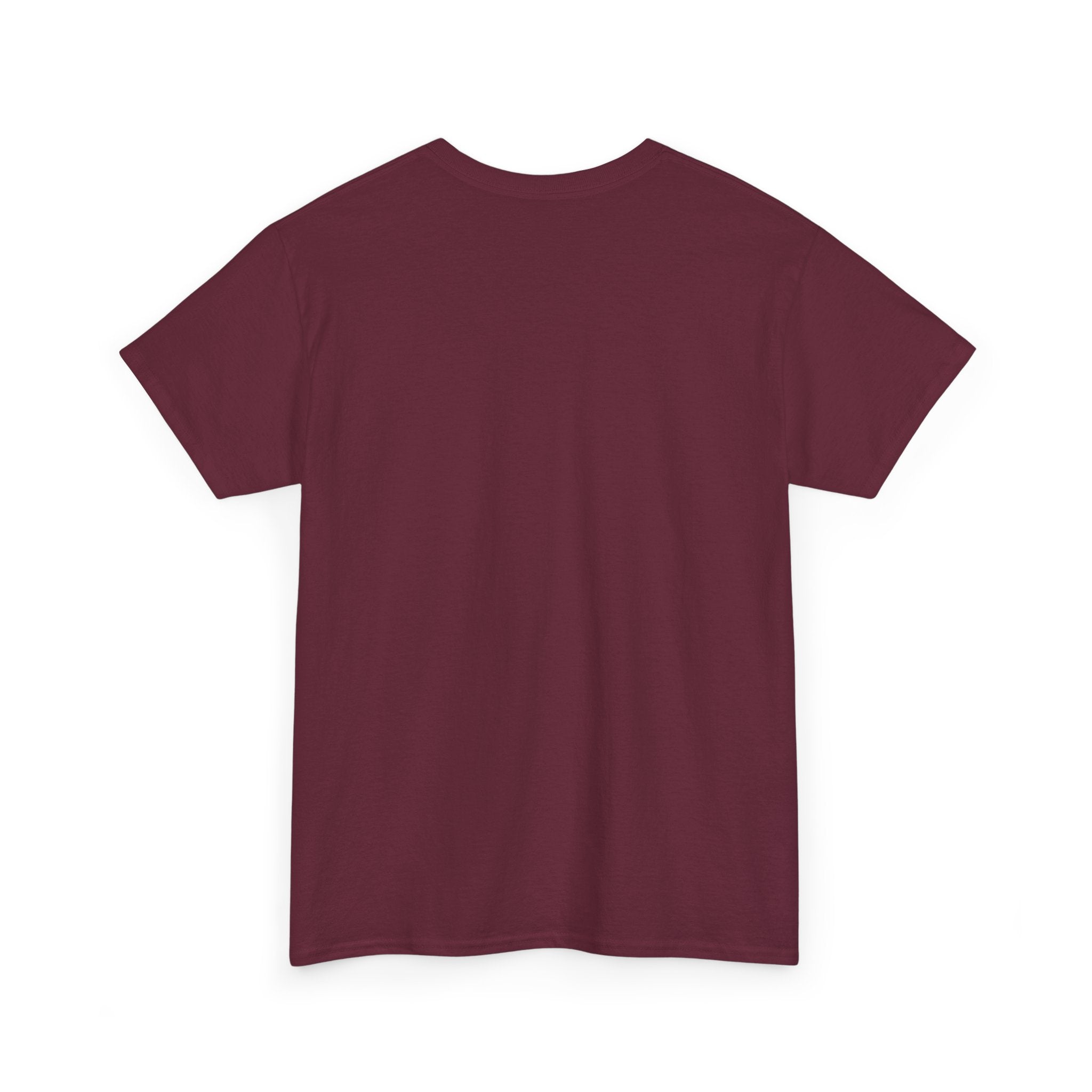 Copy of Pulse Fitne55 graphic heavy Cotton Tee - astronaut weights
